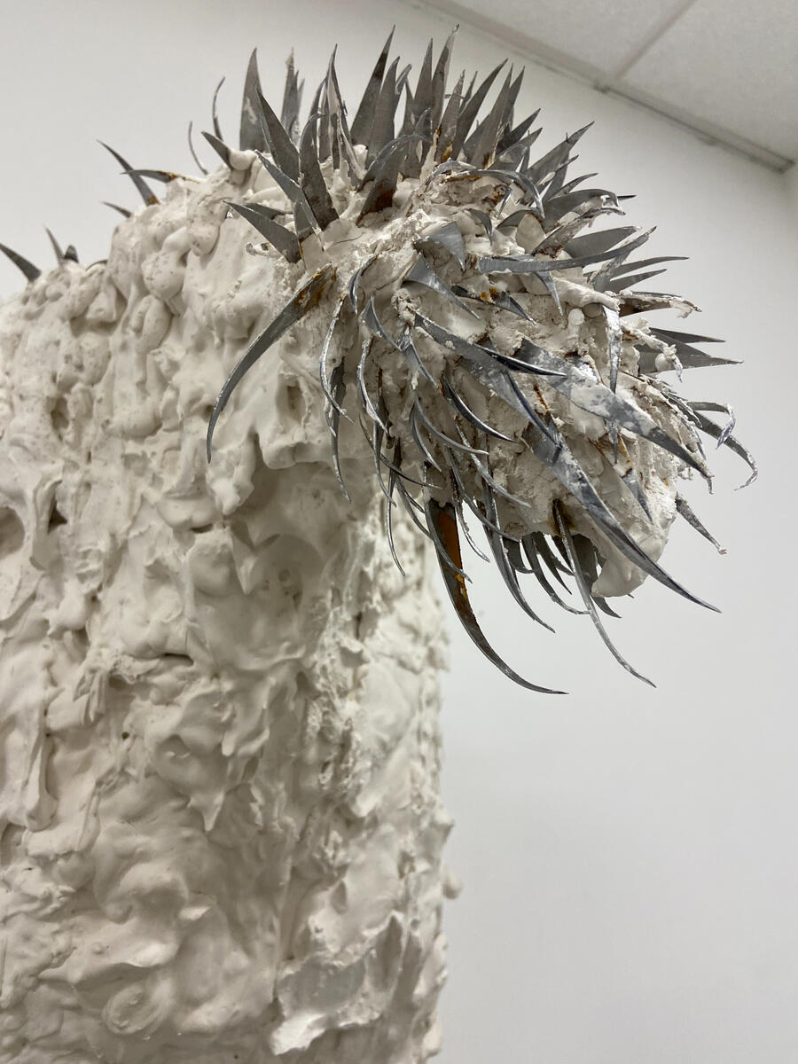 Untitled Untitled
